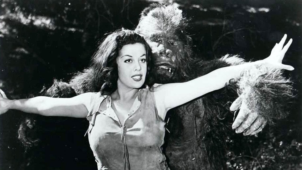 Untamed Mistress backdrop