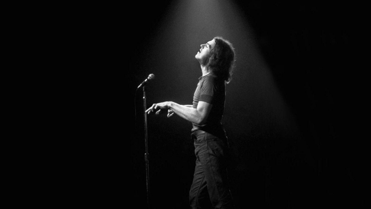 Learning to Live Together: The Return of Mad Dogs & Englishmen backdrop