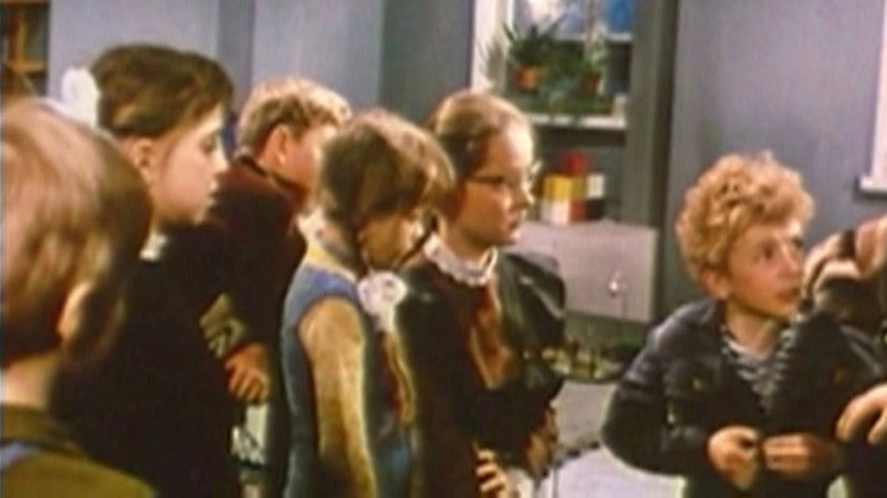 Let the Northern Lights Shine backdrop