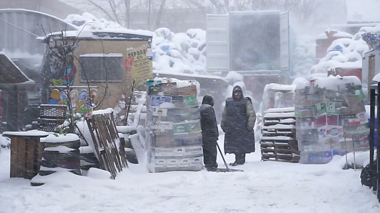 The Fourth Kingdom backdrop