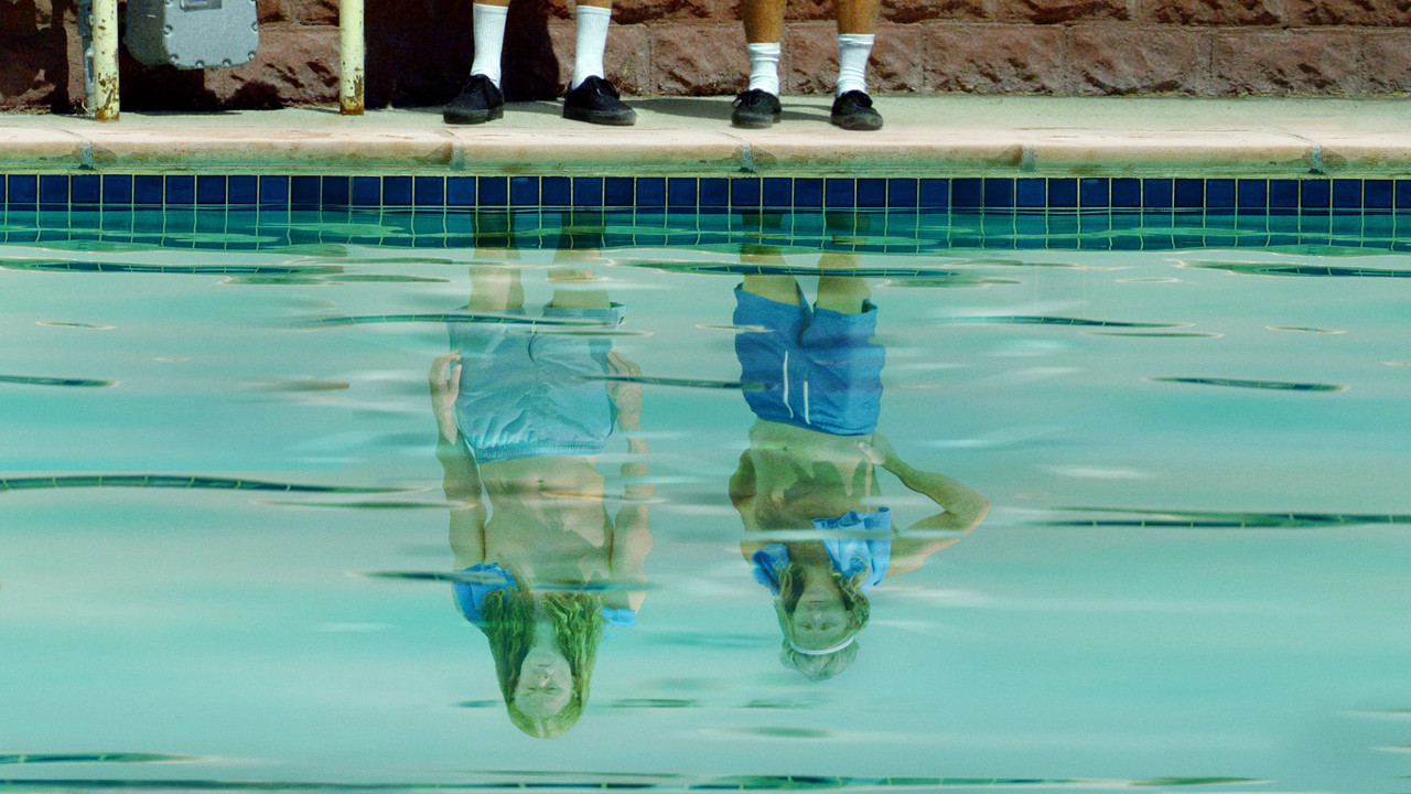 Agua Donkeys backdrop