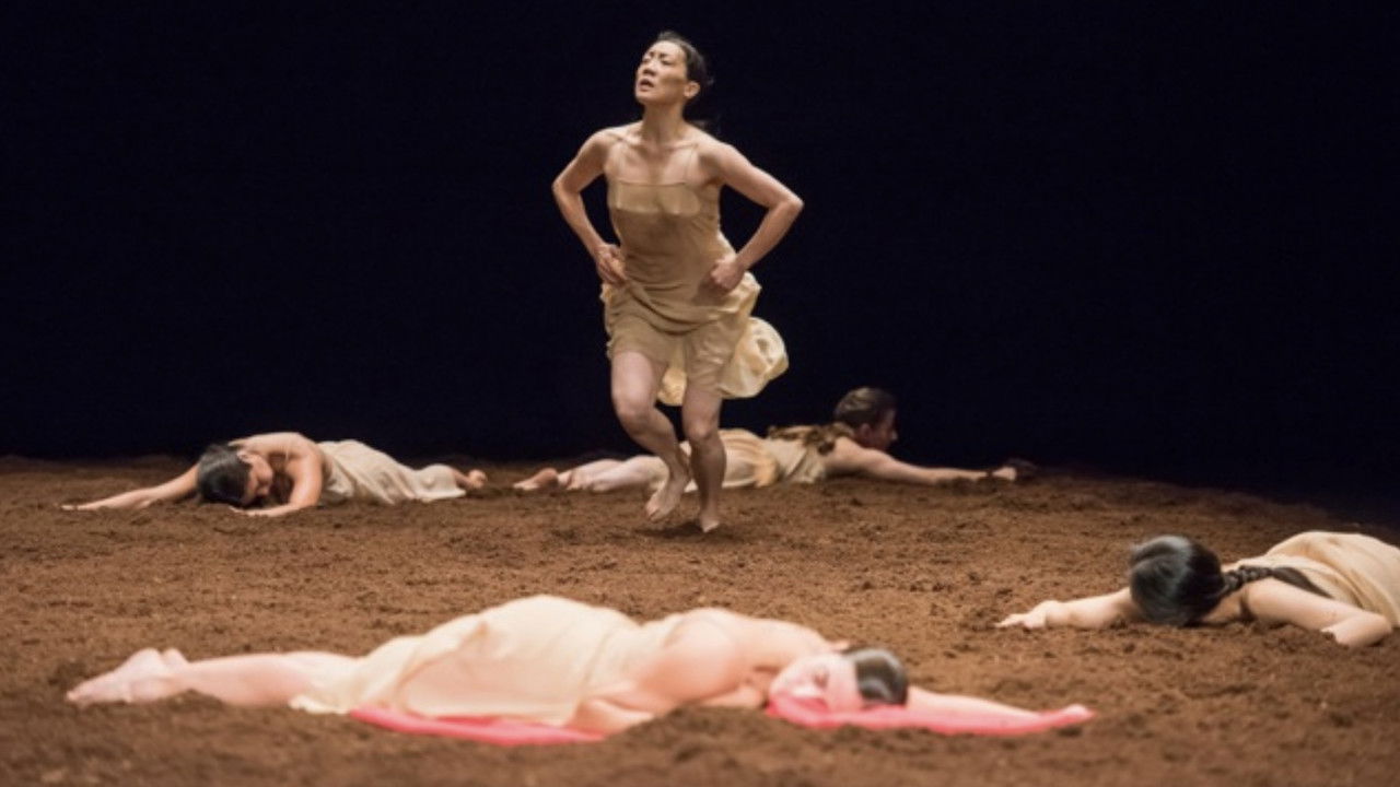 The Rite of Spring backdrop