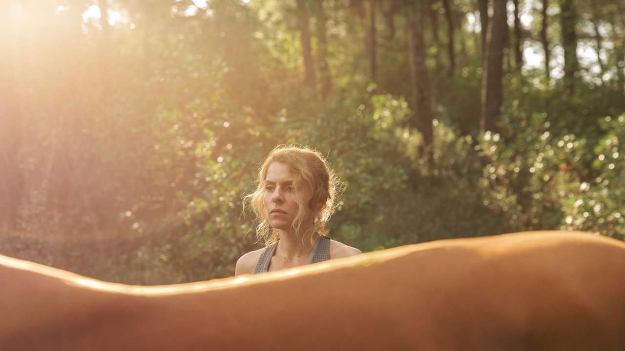 All the Pretty Little Horses backdrop