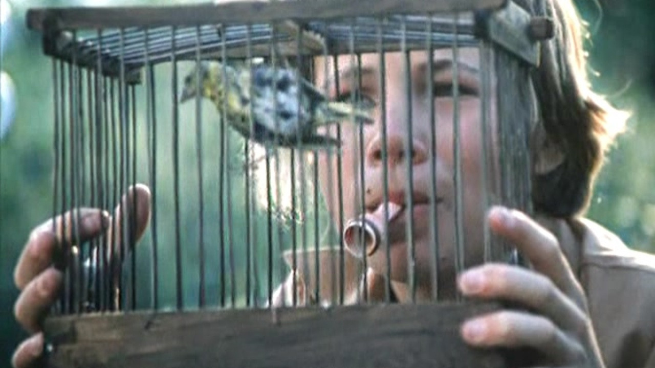 Memento Mori backdrop