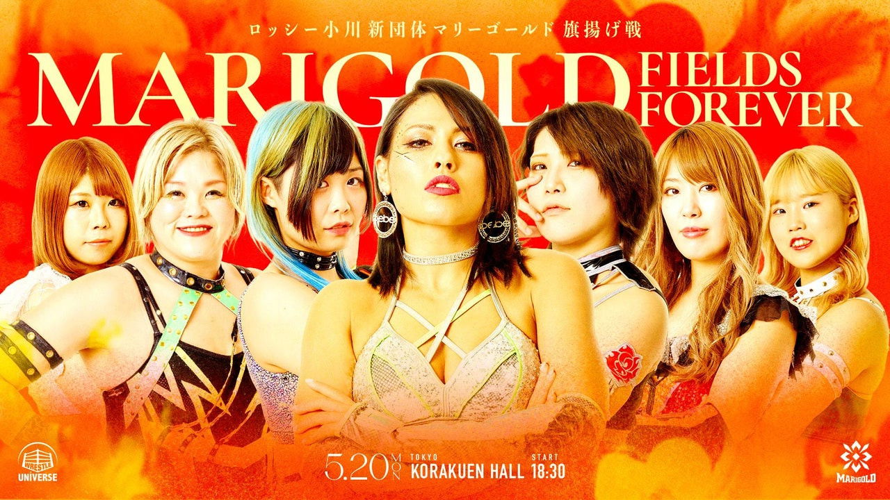 Marigold Fields Forever backdrop