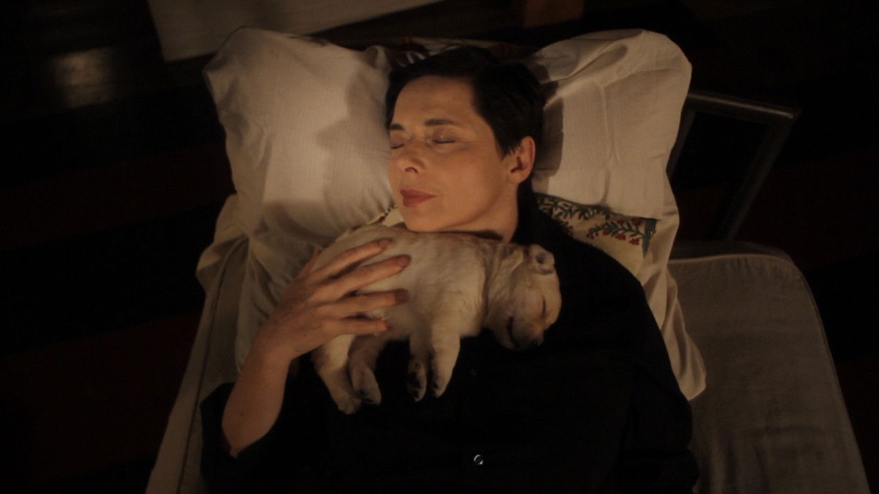 Animals Distract Me backdrop