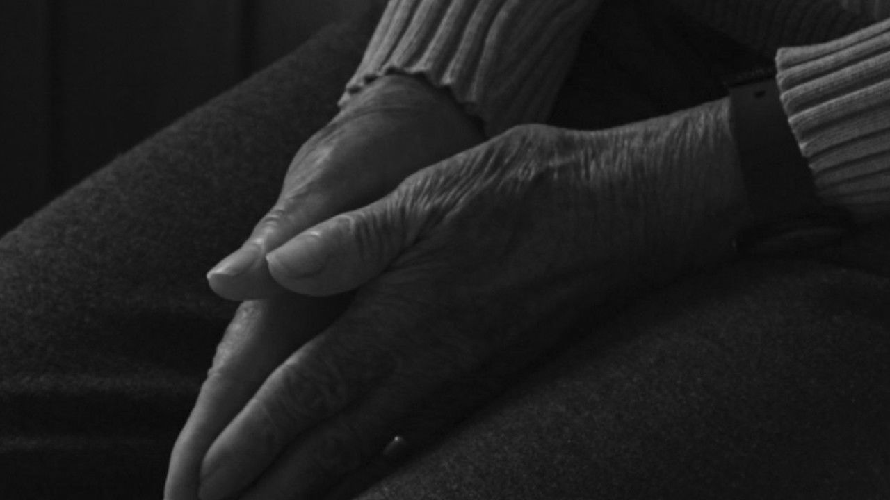 Limbo de Savia backdrop