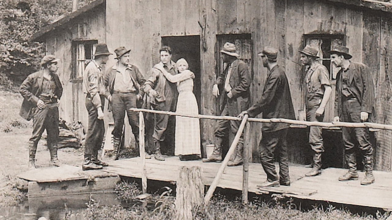 Dynamite Allen backdrop