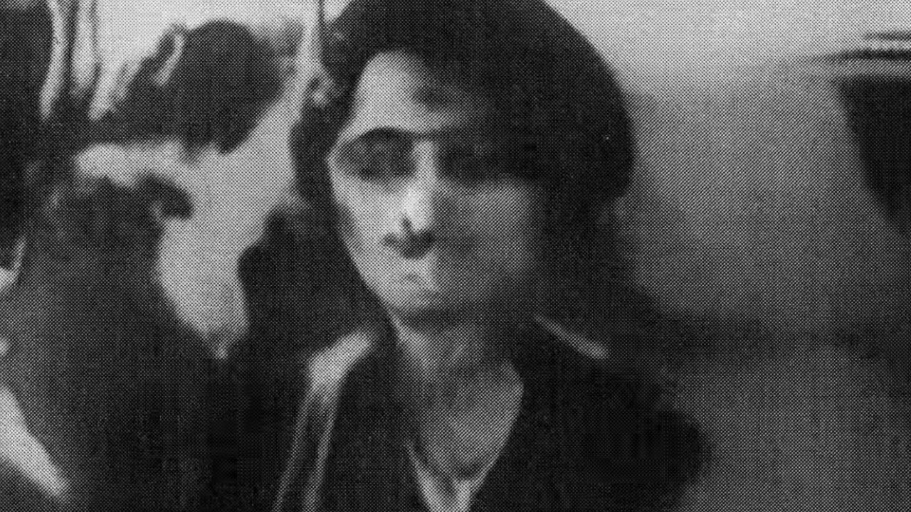 The Stolen MooM backdrop