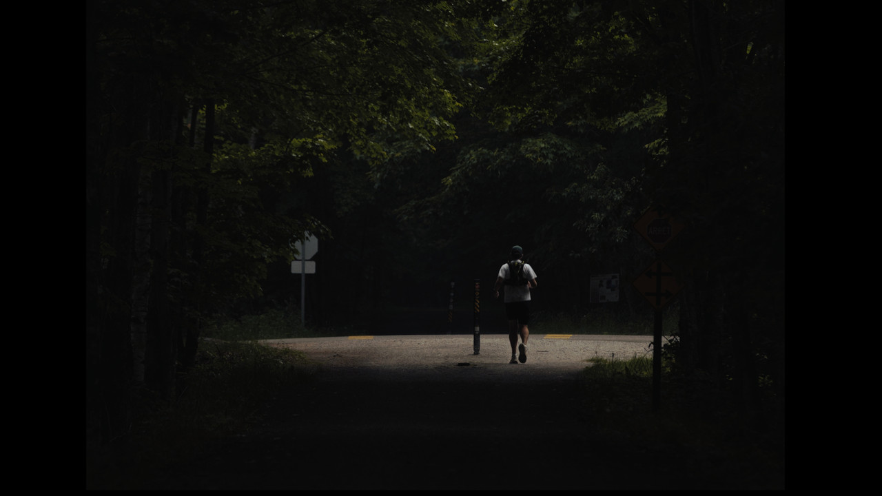 The Heir & The Hare backdrop