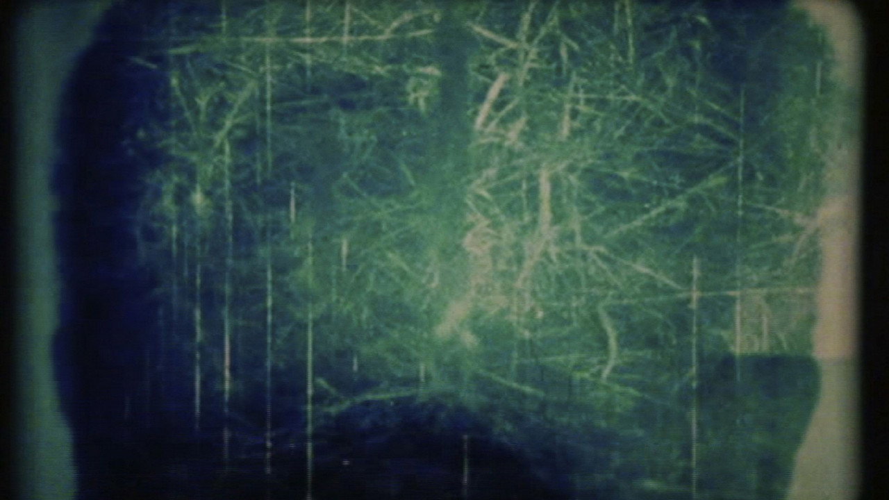 At a Same Time, Exposed Both Sides backdrop