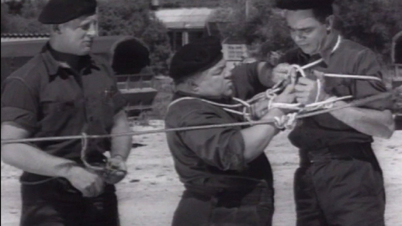 Fratse in die Vloot backdrop