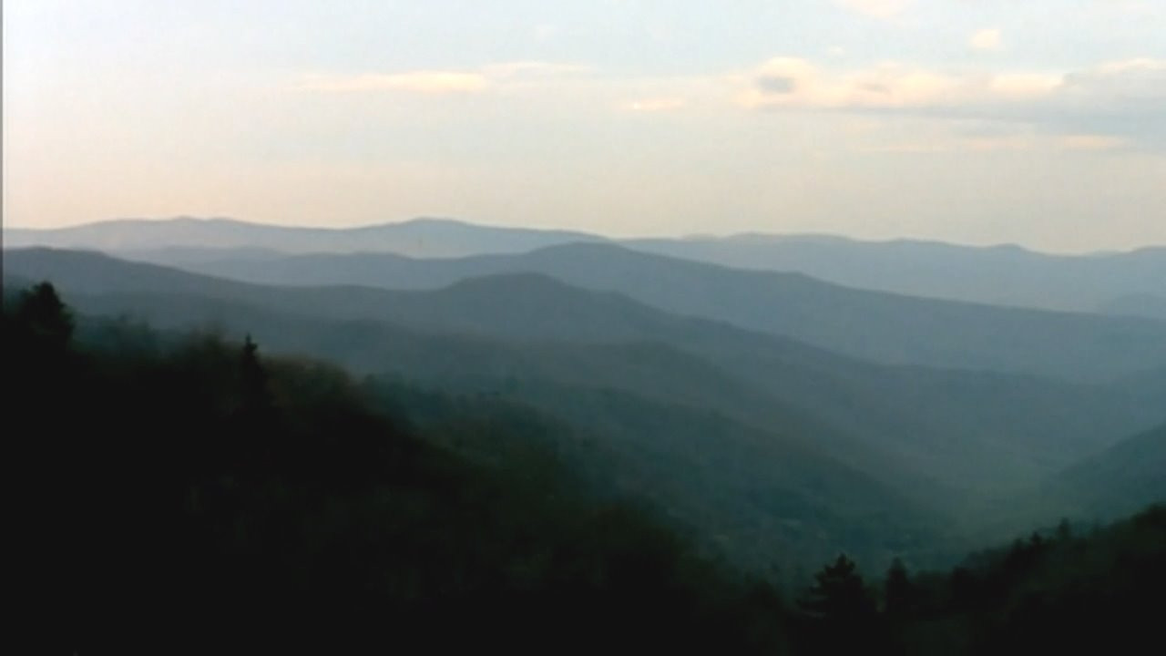 Bigfoot Witness backdrop