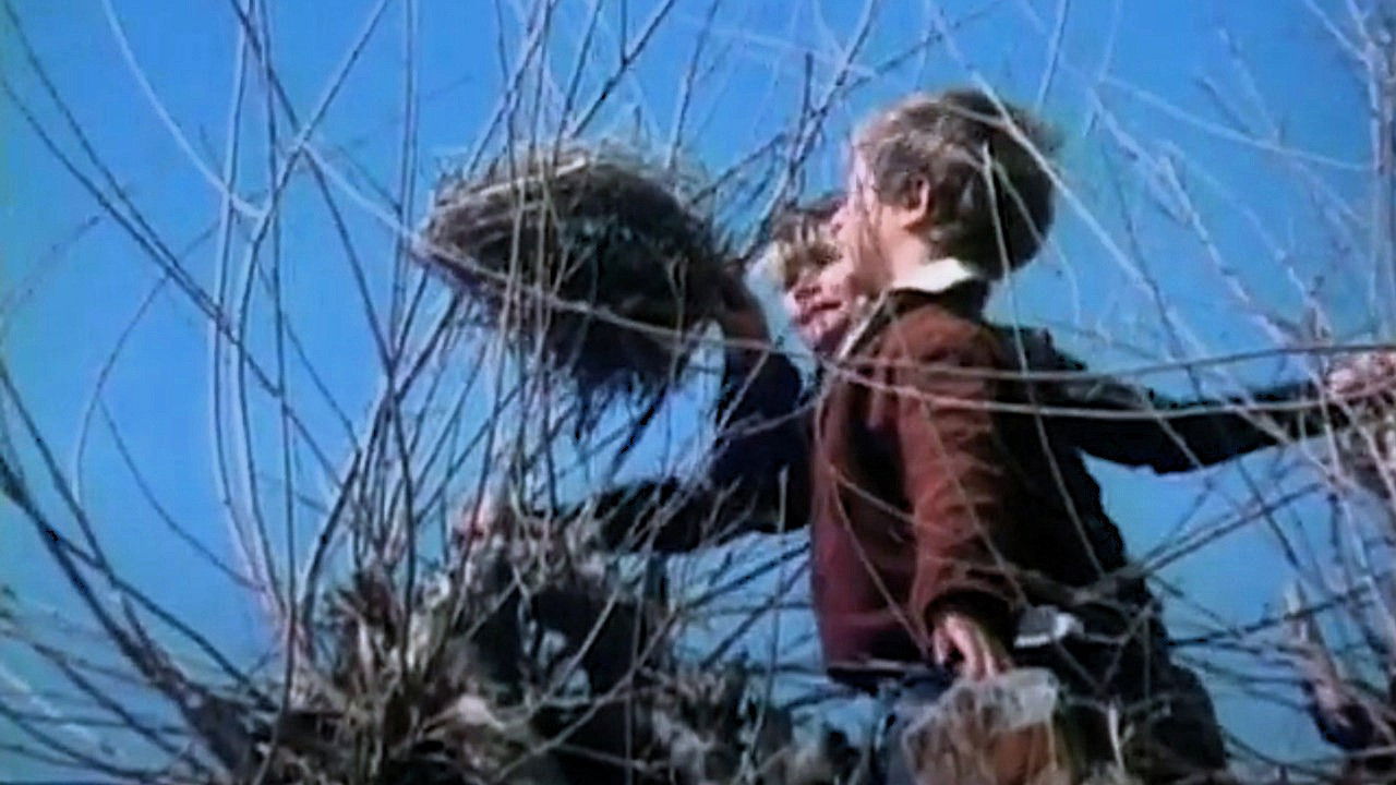 Little Angel, Make Me Happy backdrop