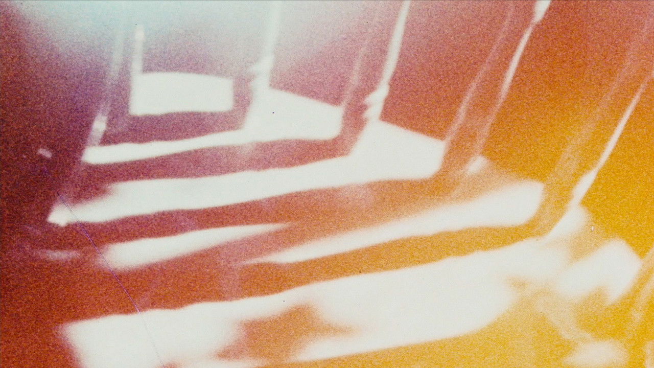 Looking for Mushrooms backdrop