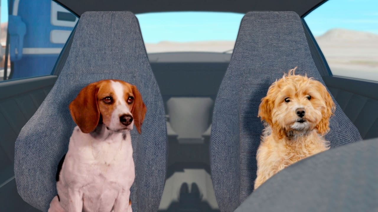 Fast and Furriest backdrop