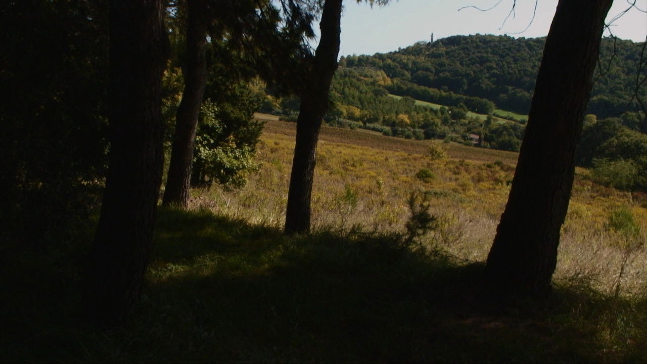 Dove Non Siamo Stati backdrop