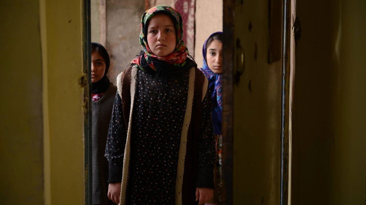 Black Scarf backdrop