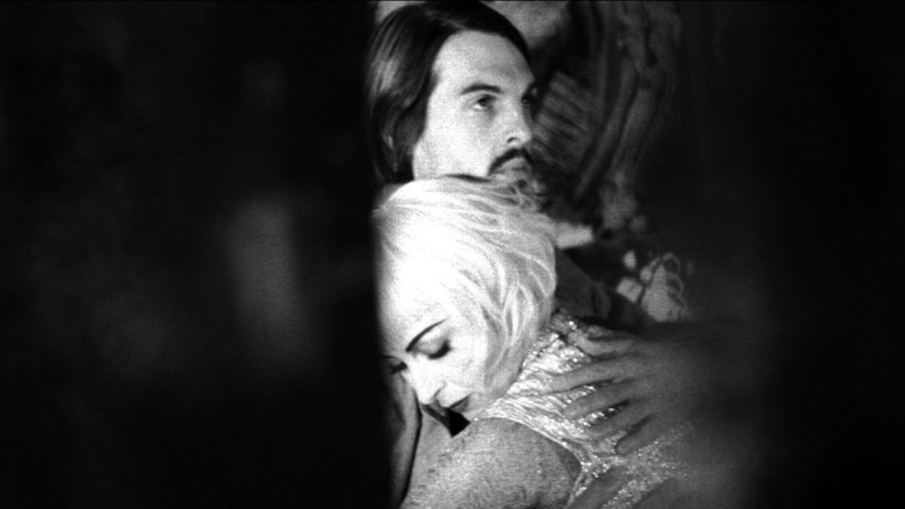 Dharma Guns backdrop