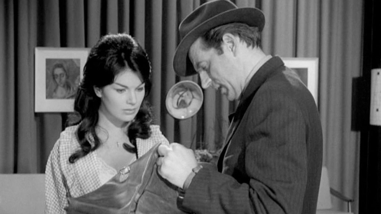 The Crooked Road backdrop