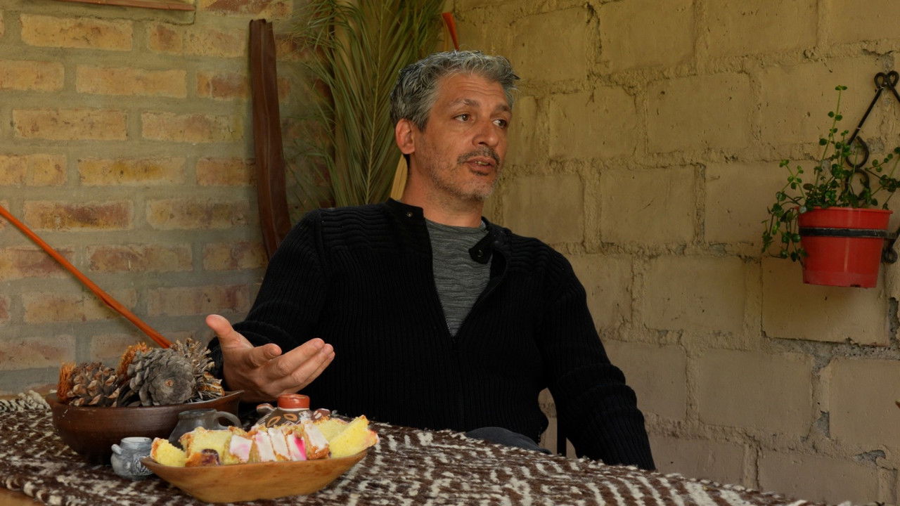 Puentes y Raíces backdrop