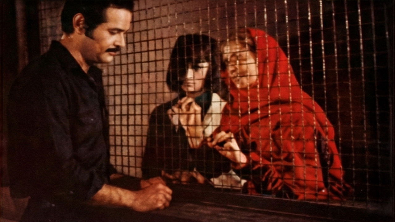 Quinto patio backdrop