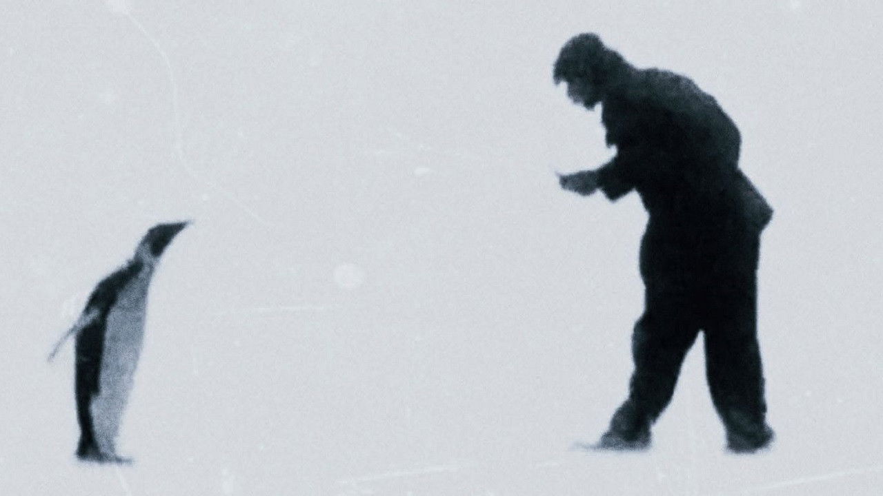 Bestiaries, Herbaria, Lapidaries backdrop