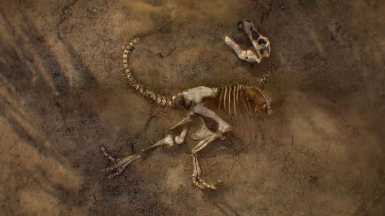 Lost Beasts backdrop