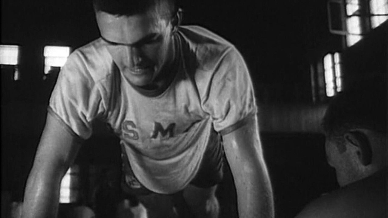 The Marines backdrop