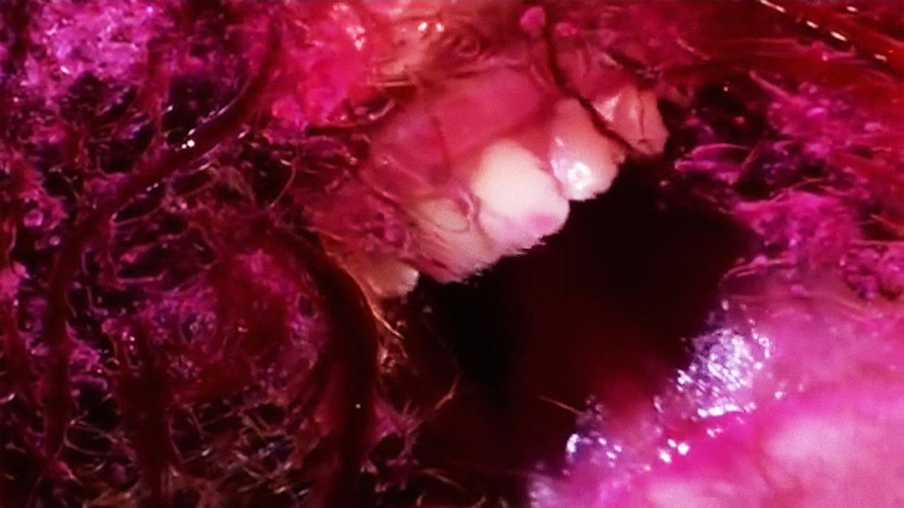 Green Pink Caviar backdrop