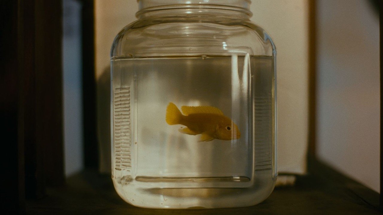 Sadrah Poem Of Blood backdrop