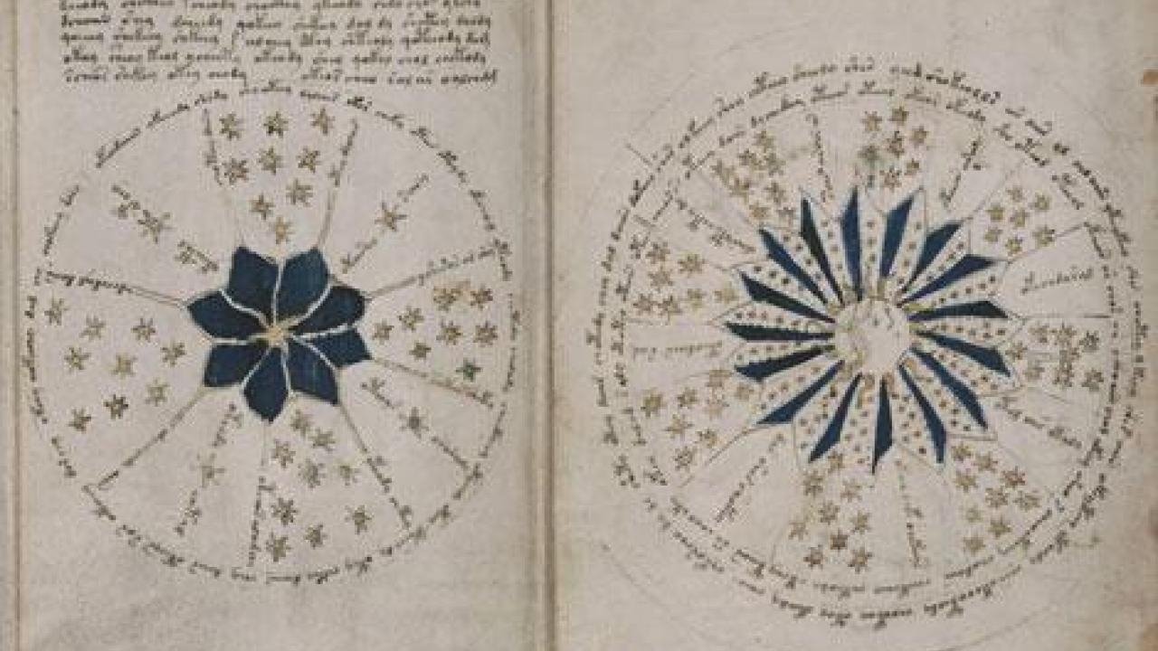 The Voynich Code: The World's Most Mysterious Manuscript backdrop