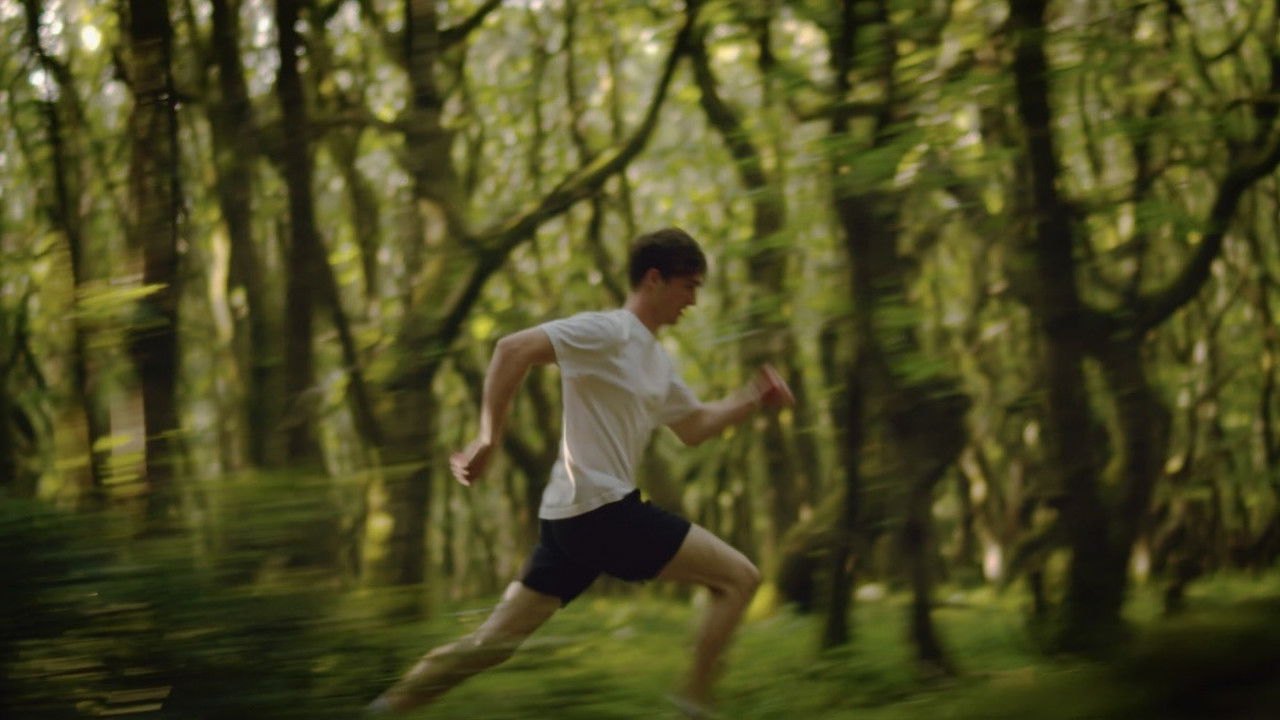 Scrutiny of Friendship backdrop