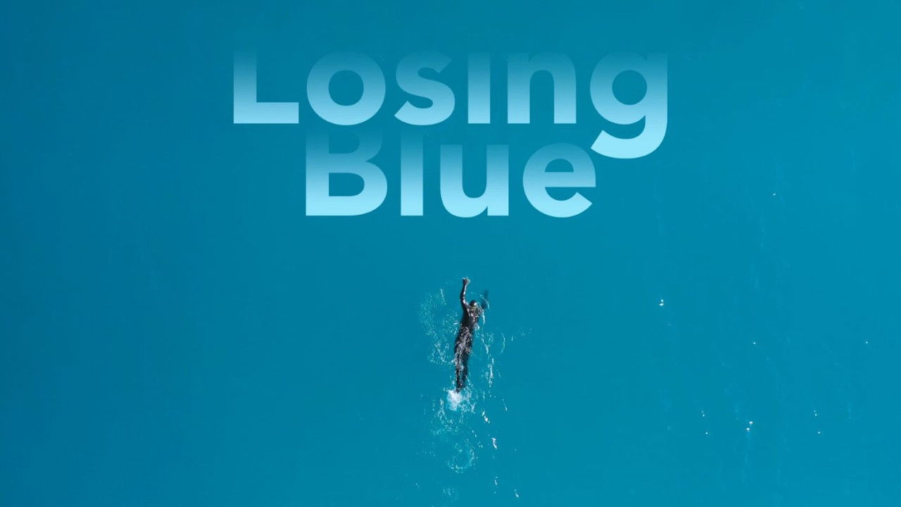 Losing Blue backdrop