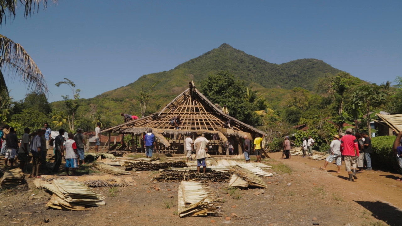 As the Sprouts Grow backdrop