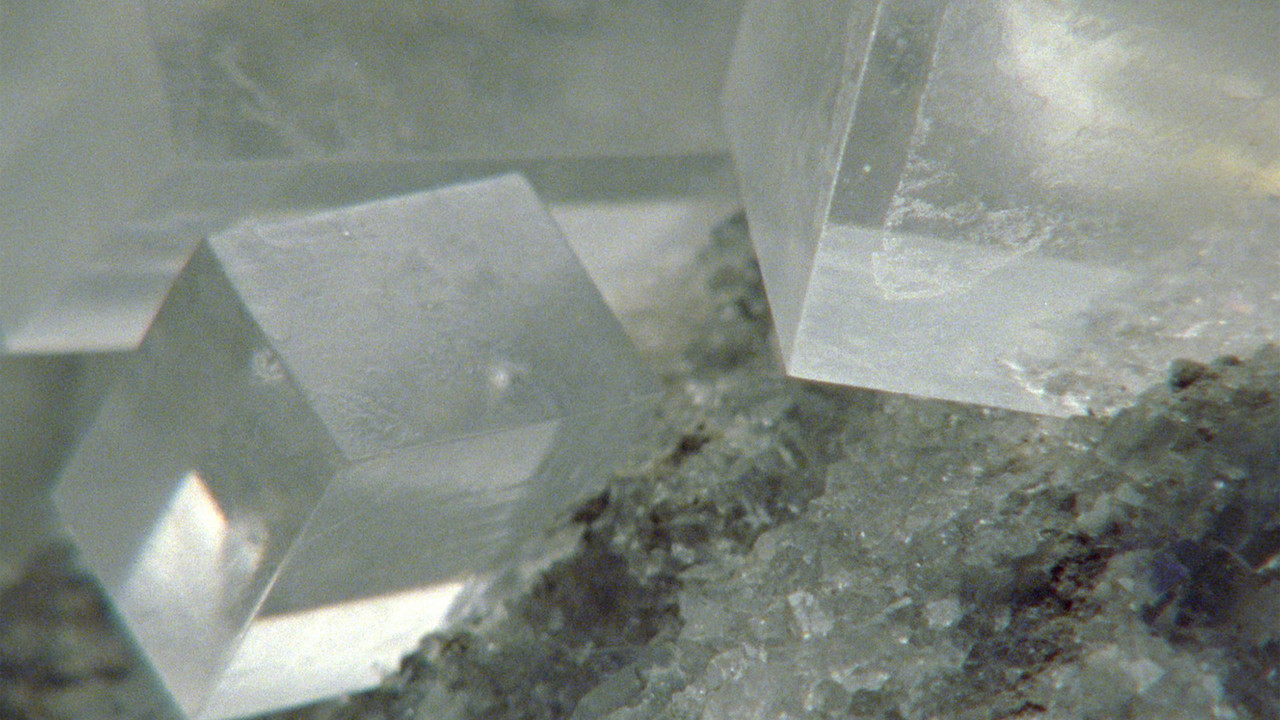 Last Things backdrop