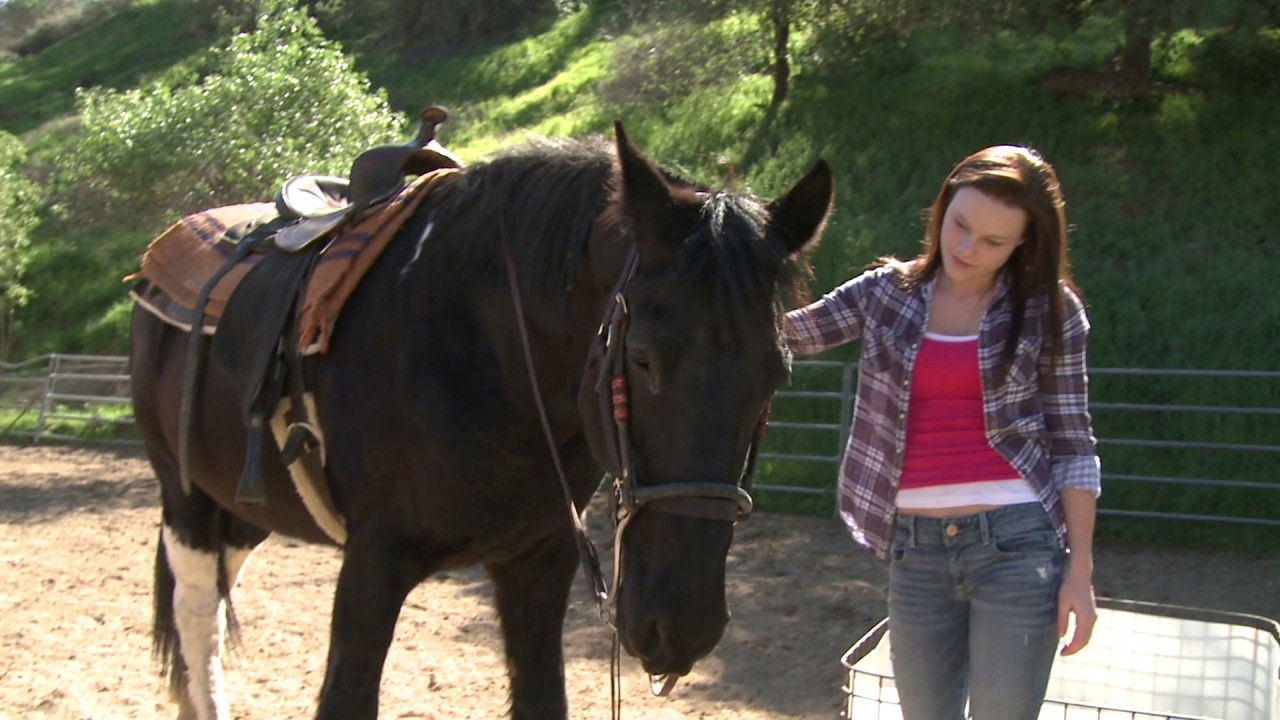 A Talking Pony!?! backdrop