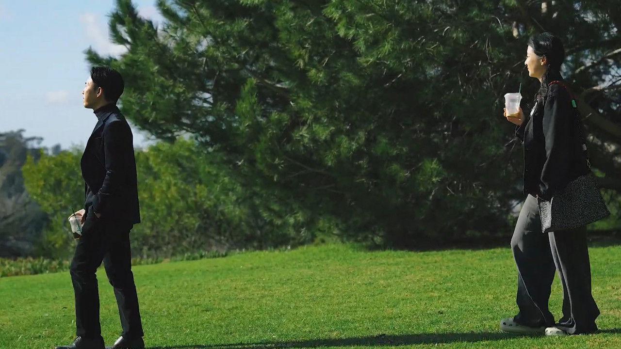 Still Sunset backdrop