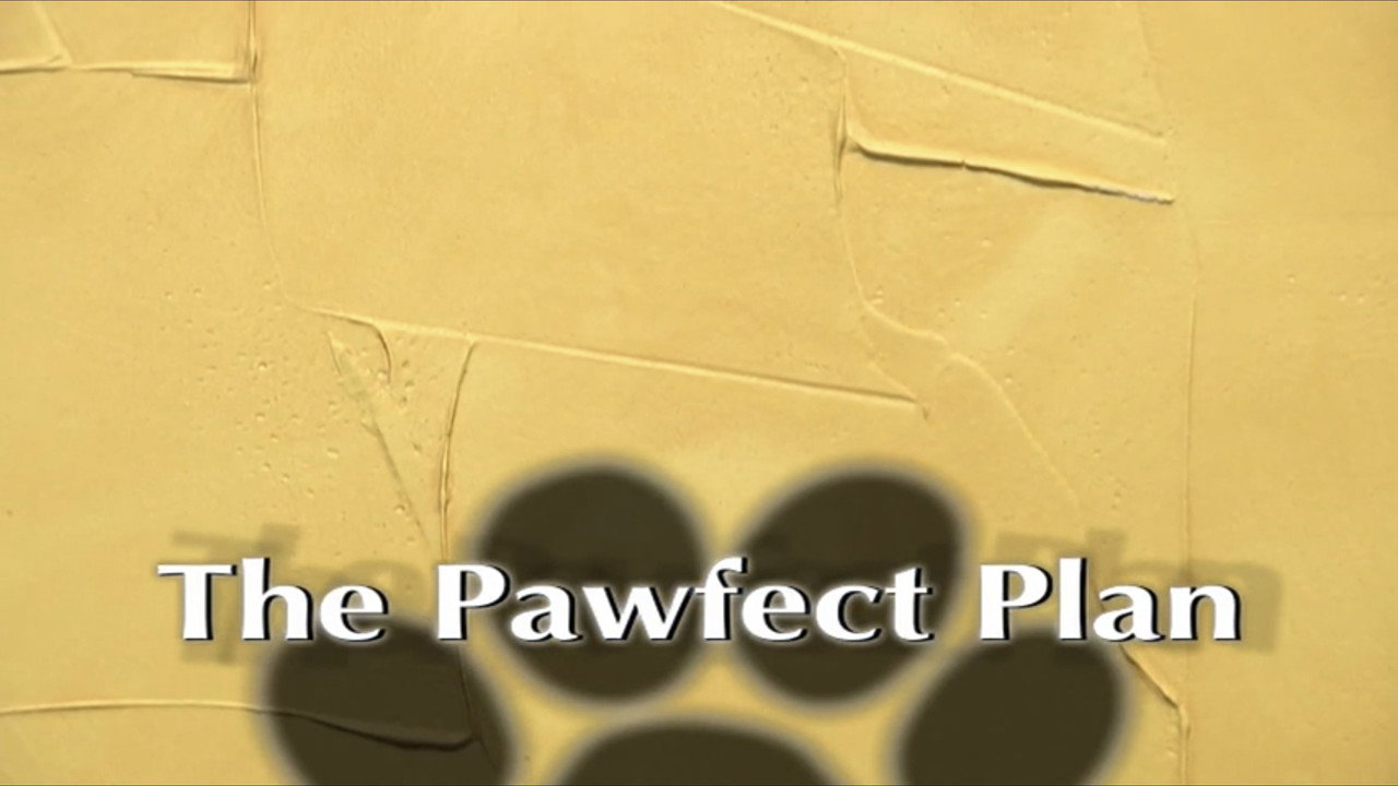 The Pawfect Plan backdrop