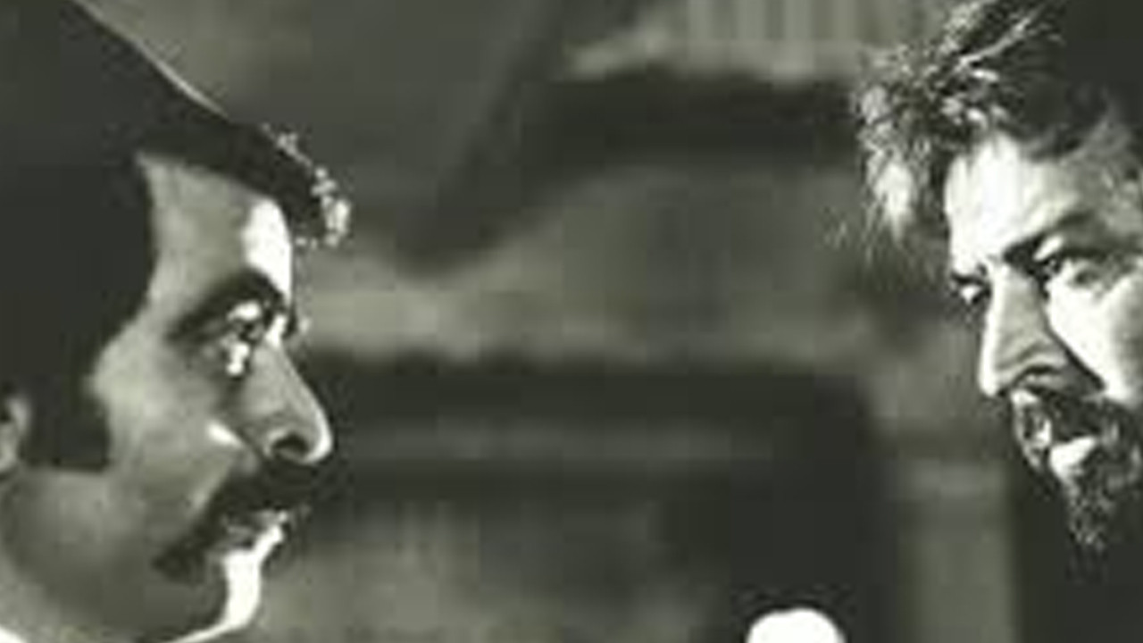 The Night Leopard backdrop