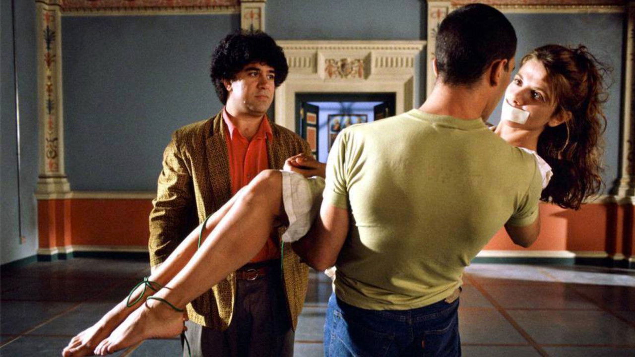 Untied! Reflections on Tie Me Up! Tie Me Down! backdrop