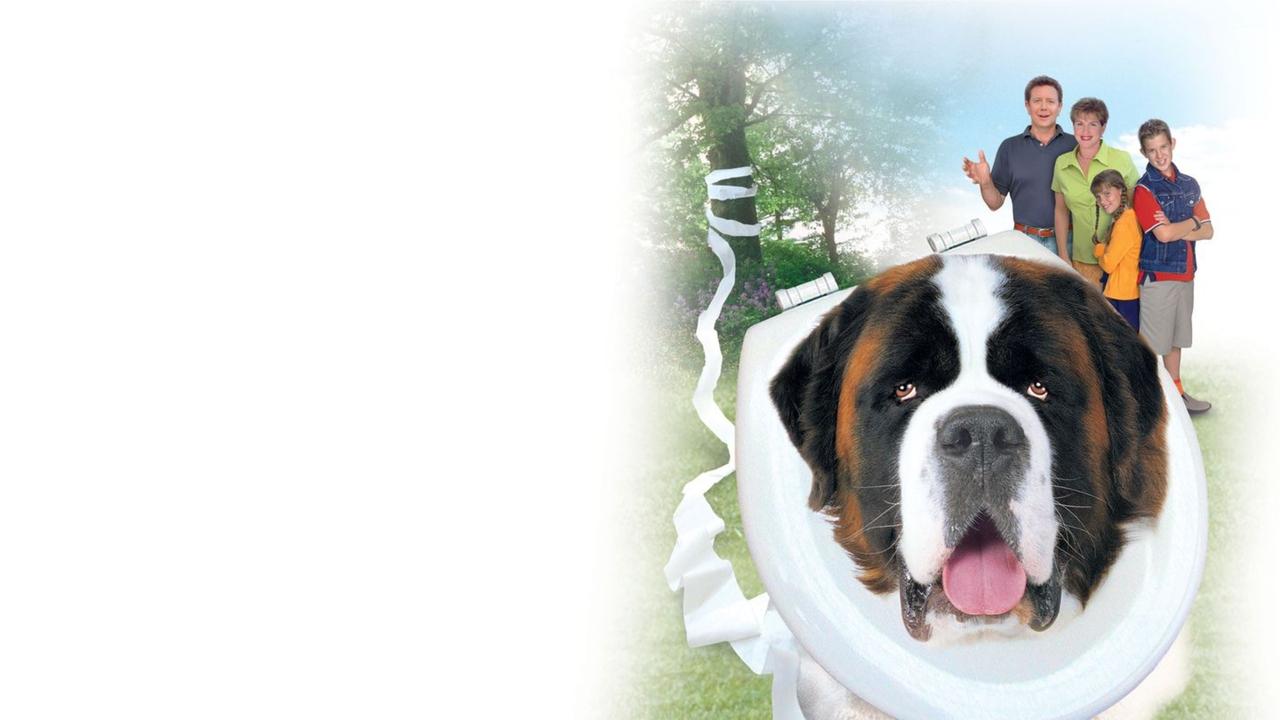 Beethoven's 4th backdrop