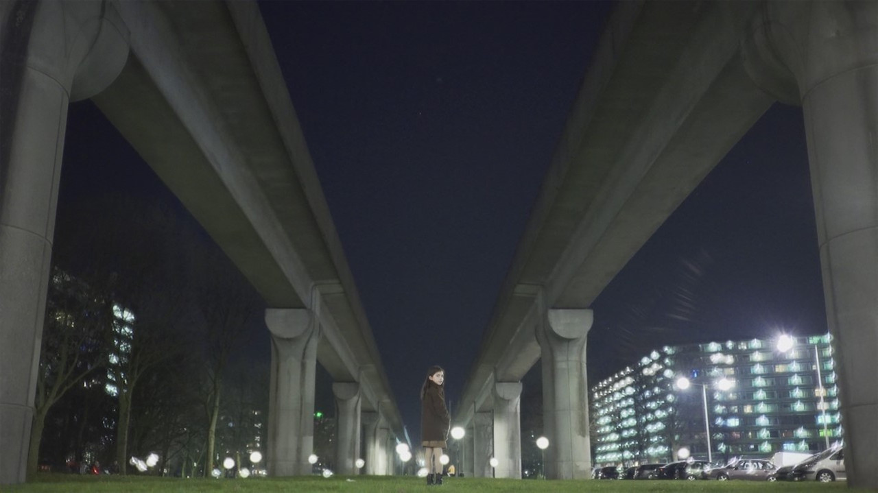 All You See backdrop