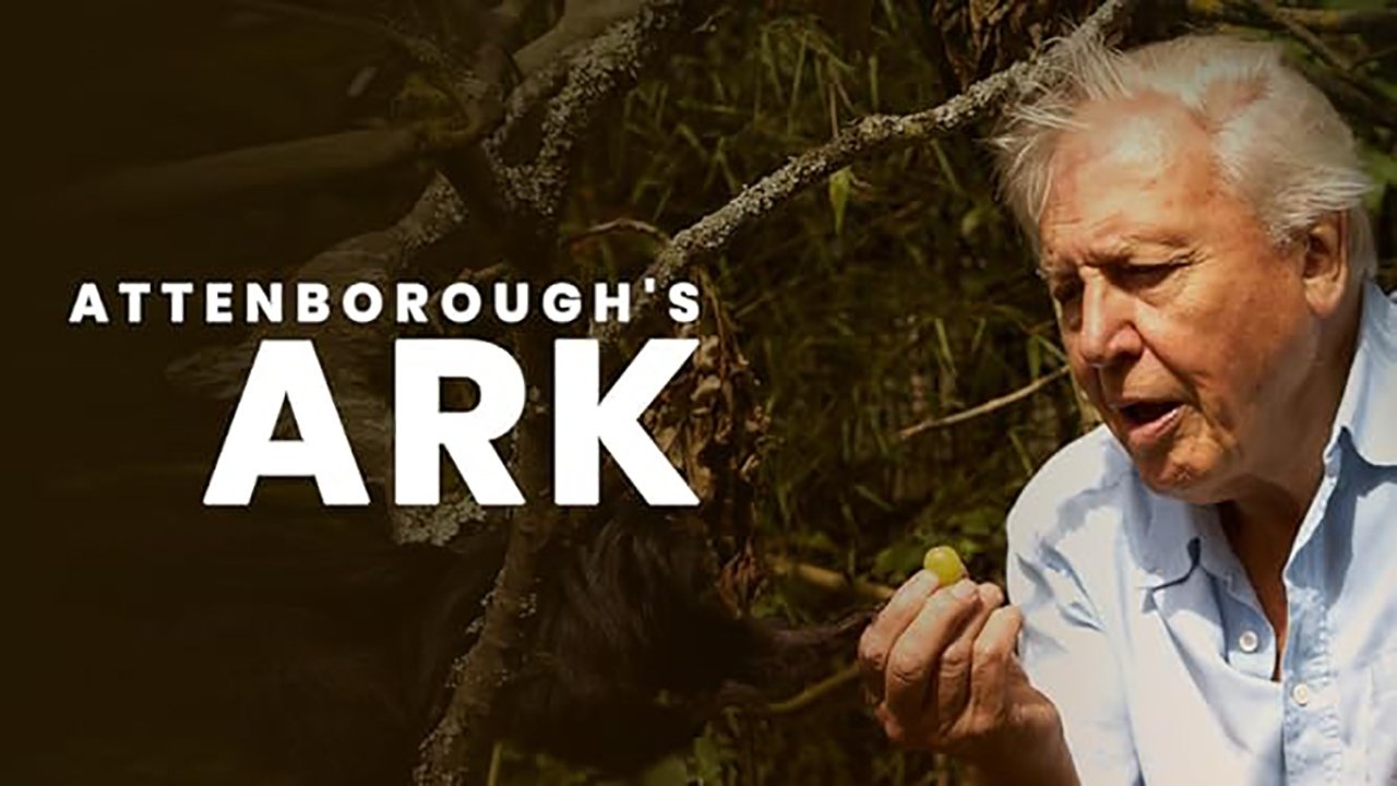 Attenborough's Ark backdrop