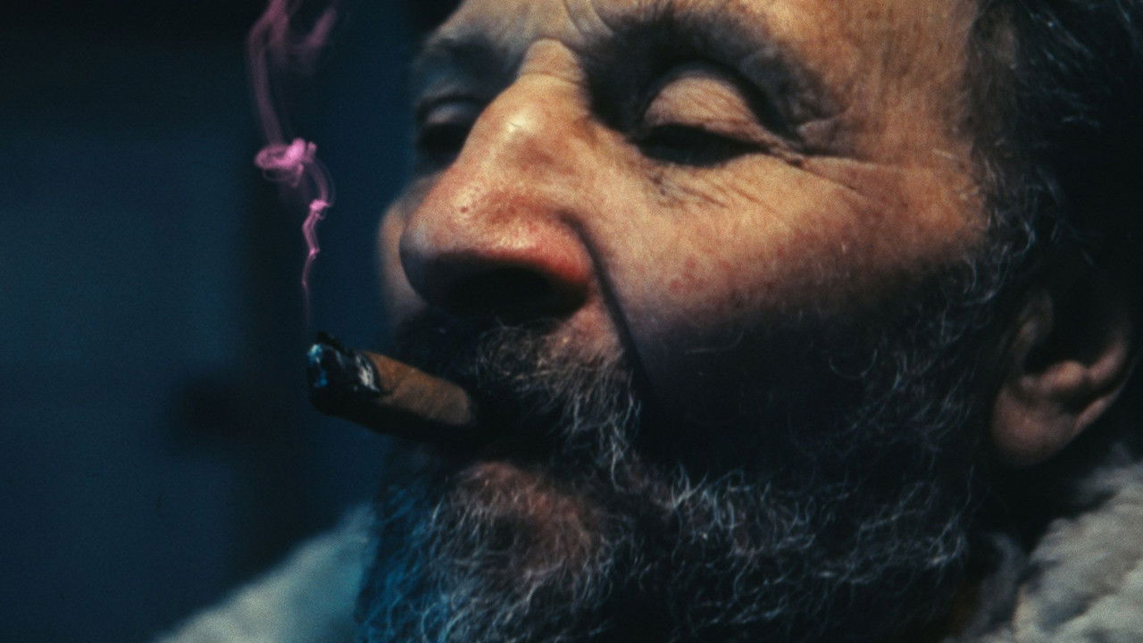 The Last Will backdrop