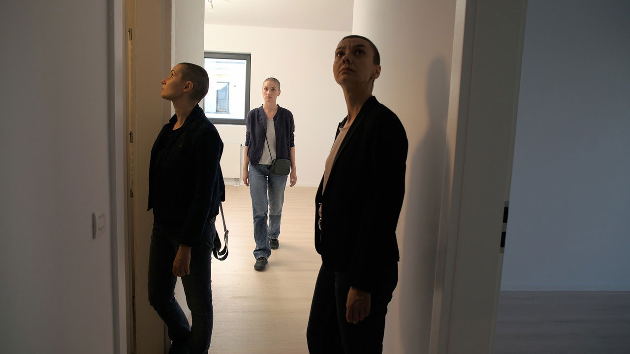 Internal Zero backdrop