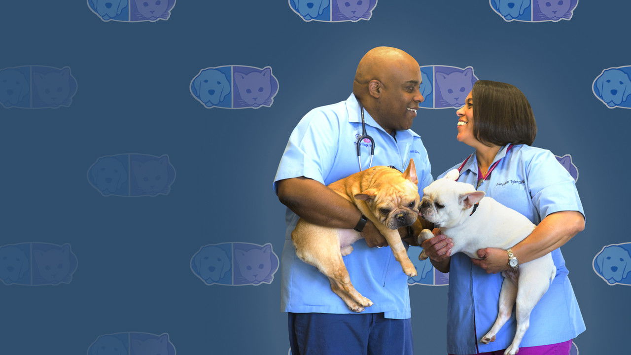 Love & Vets backdrop