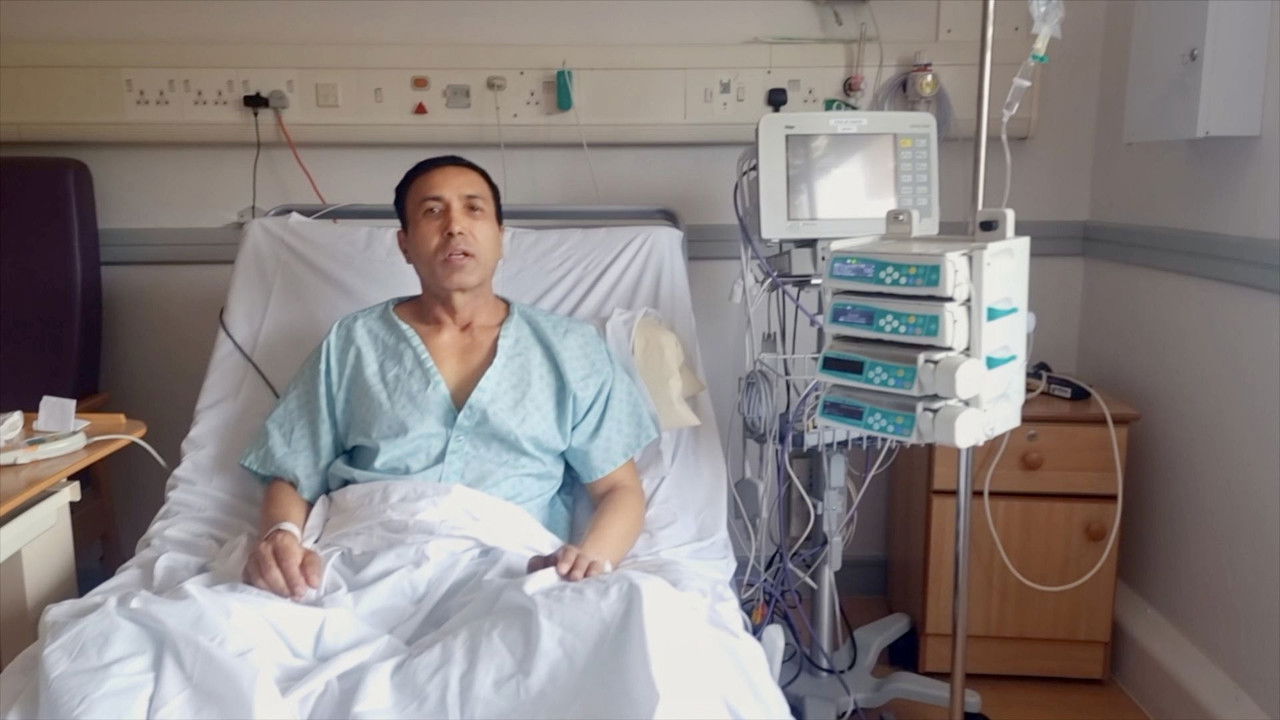 Stone Gone Life On backdrop