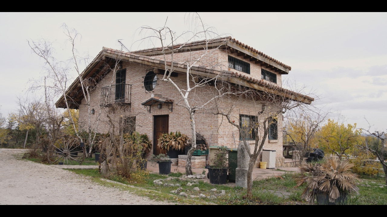 El Lobo y La Gacela backdrop