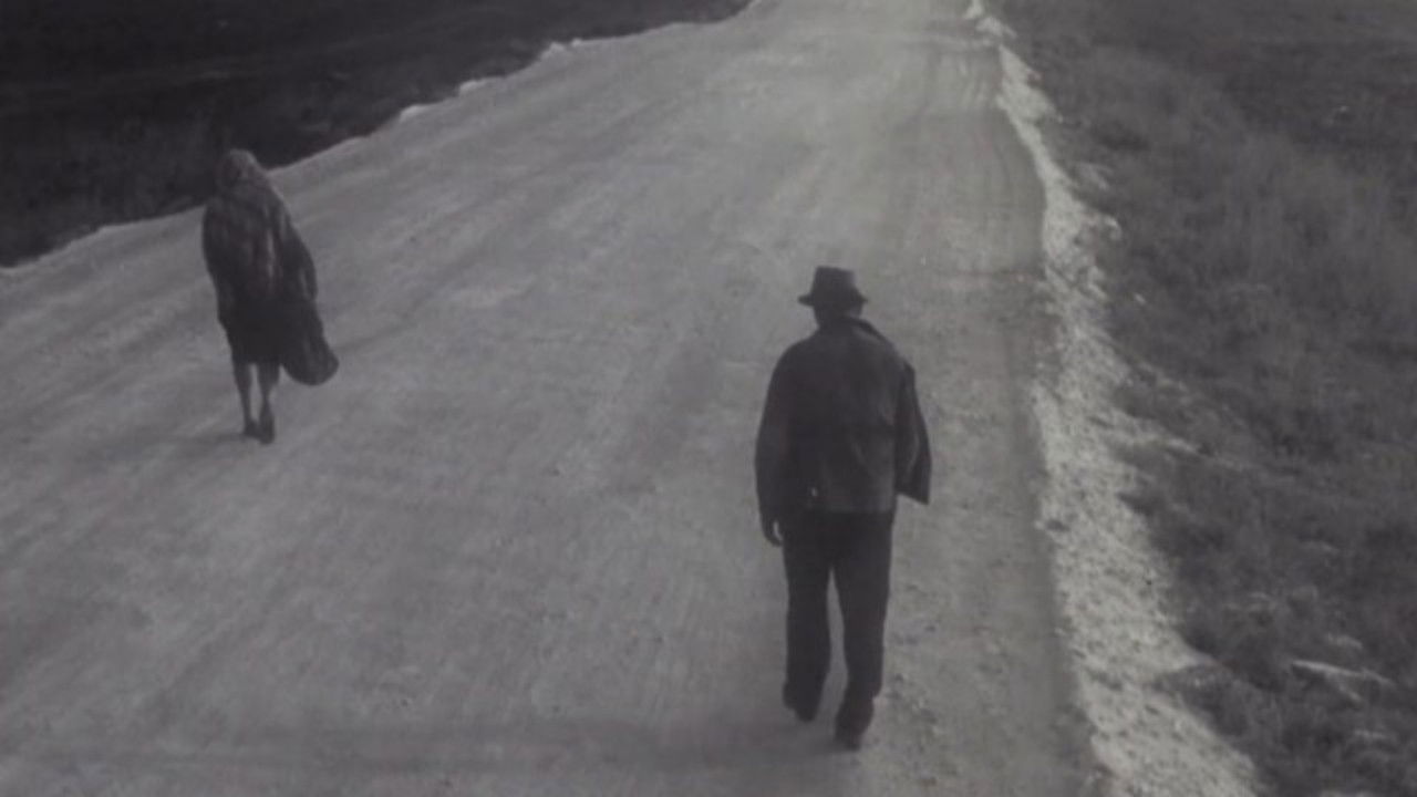 Man and Woman backdrop